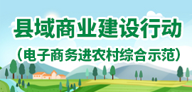 縣域商業建設（農村電商示范）